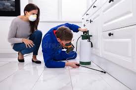 Reliable Penryn, CA Pest Control Solutions